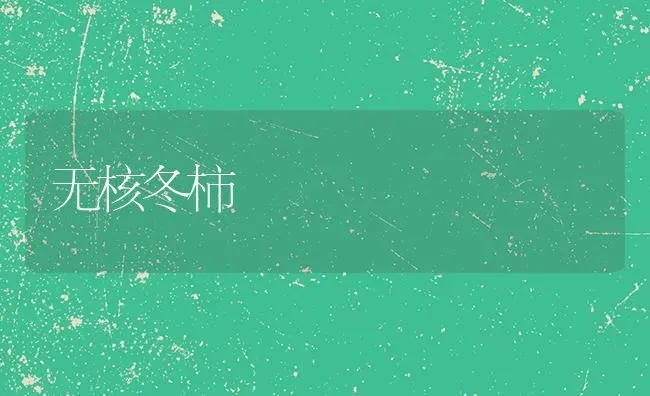 无核冬柿 | 养殖技术大全