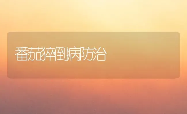 番茄猝倒病防治 | 养殖技术大全