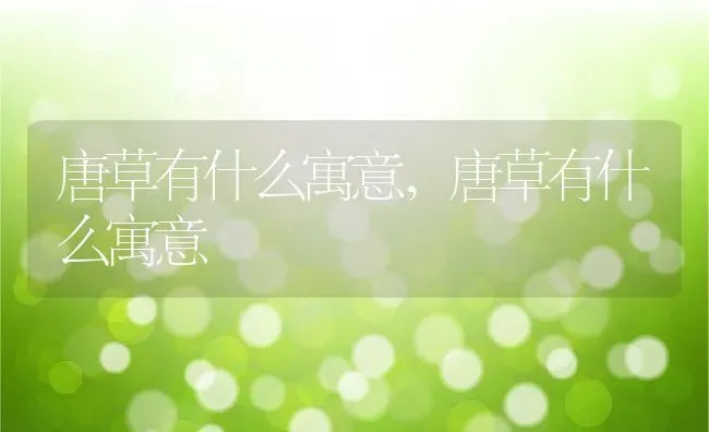 唐草有什么寓意,唐草有什么寓意 | 养殖科普