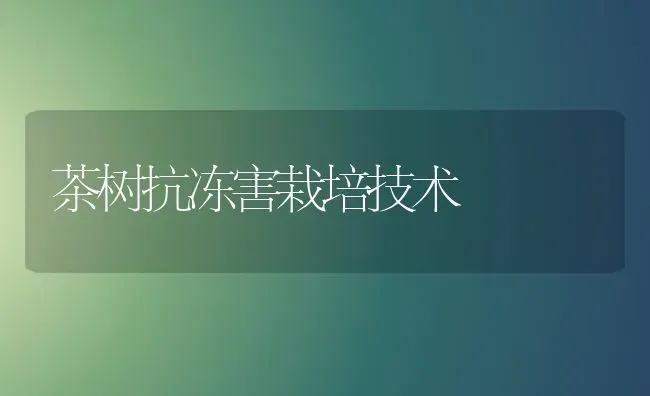 茶树抗冻害栽培技术 | 养殖知识