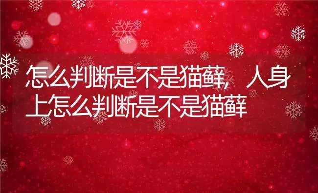 怎么判断是不是猫藓,人身上怎么判断是不是猫藓 | 养殖科普
