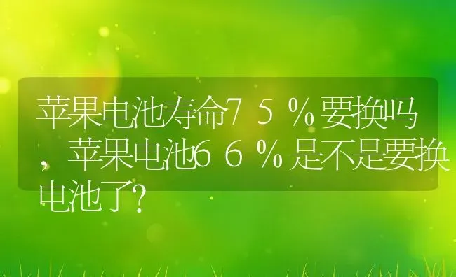 苹果电池寿命75%要换吗,苹果电池66%是不是要换电池了？ | 养殖科普