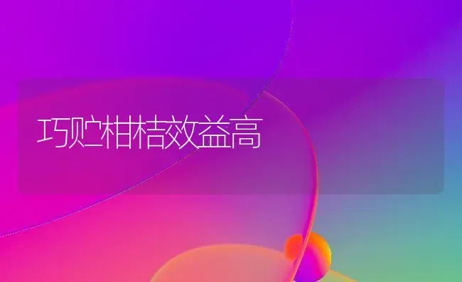 巧贮柑桔效益高 | 养殖技术大全