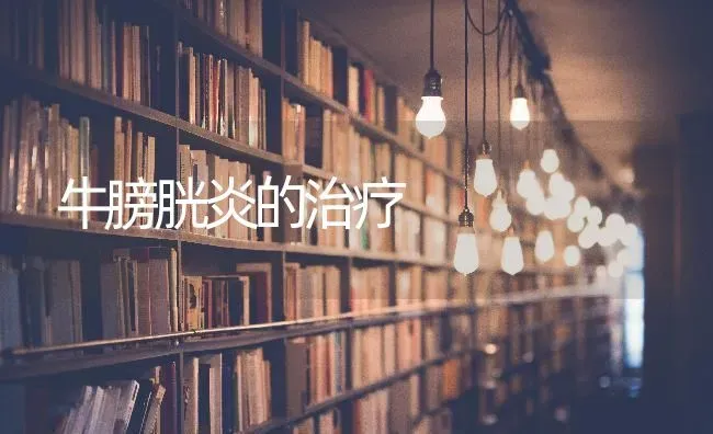牛膀胱炎的治疗 | 养殖技术大全