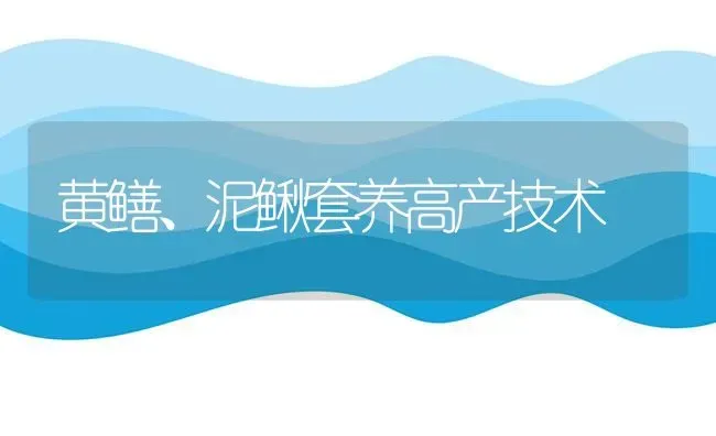 黄鳝、泥鳅套养高产技术 | 养殖技术大全