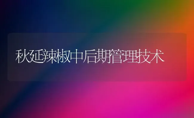 秋延辣椒中后期管理技术 | 养殖知识