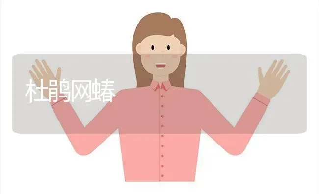 杜鹃网蝽 | 养殖技术大全