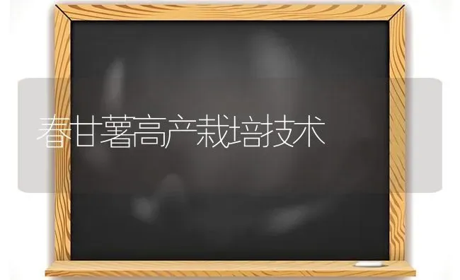 春甘薯高产栽培技术 | 养殖技术大全