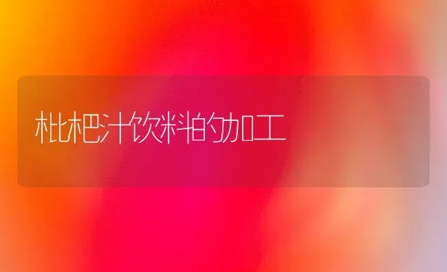 枇杷汁饮料的加工 | 养殖技术大全