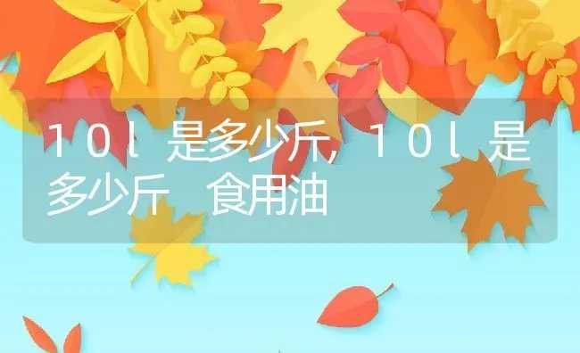 10l是多少斤,10l是多少斤 食用油 | 养殖资料
