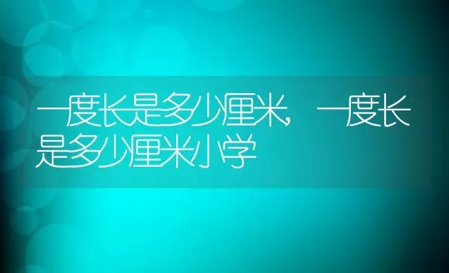 一度长是多少厘米,一度长是多少厘米小学 | 养殖科普