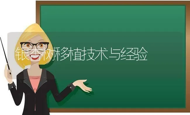银杏树移植技术与经验 | 养殖技术大全