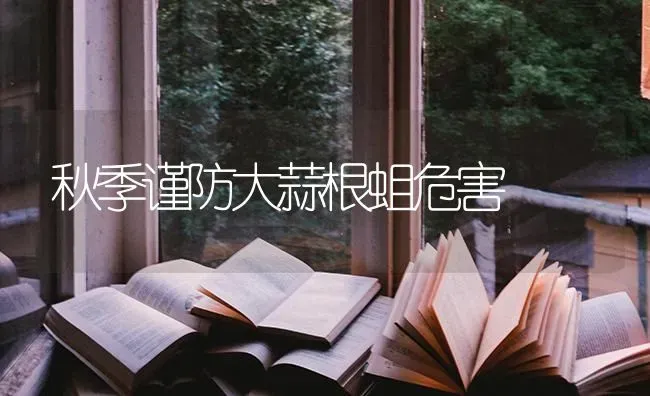 秋季谨防大蒜根蛆危害 | 养殖知识