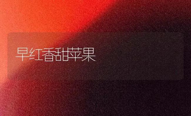 注意啦,斑潜蝇危害豇豆 | 养殖技术大全