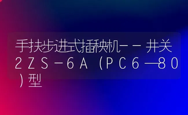 手扶步进式插秧机--井关2ZS-6A(PC6—80)型 | 养殖知识