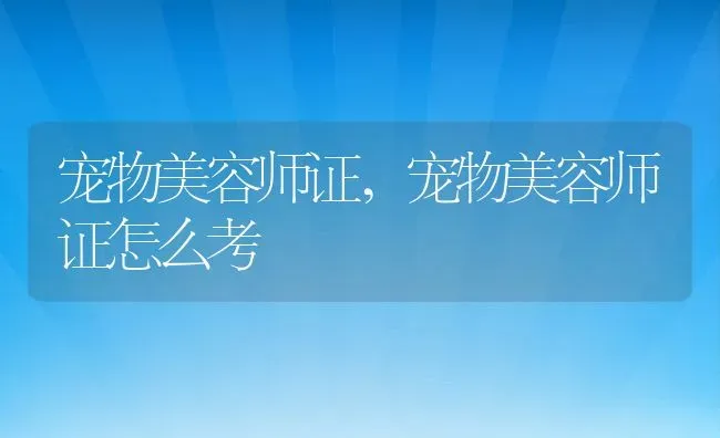 宠物美容师证,宠物美容师证怎么考 | 养殖资料