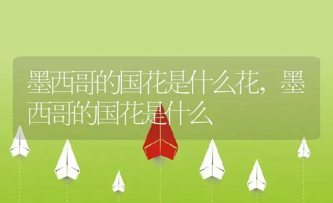 墨西哥的国花是什么花,墨西哥的国花是什么 | 养殖学堂