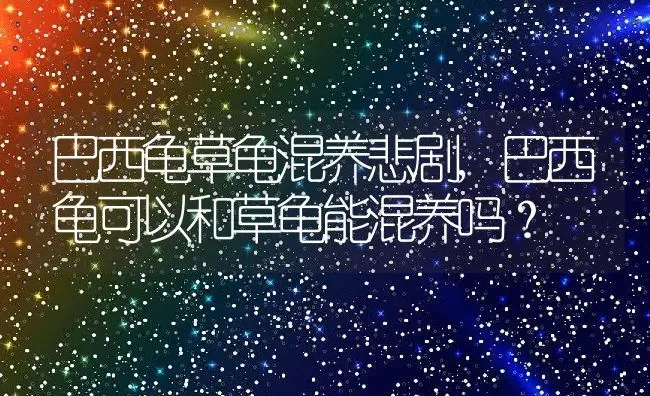 巴西龟草龟混养悲剧,巴西龟可以和草龟能混养吗？ | 养殖学堂