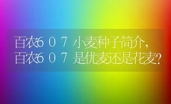 百农607小麦种子简介,百农607是优麦还是花麦？ | 养殖科普