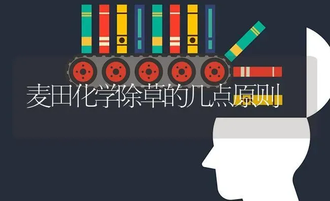 麦田化学除草的几点原则 | 养殖知识