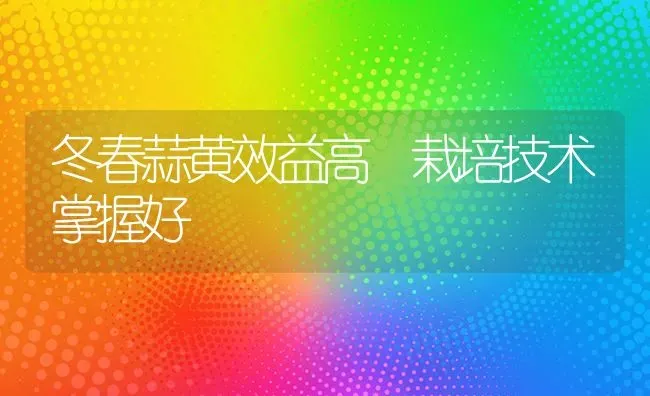 冬春蒜黄效益高 栽培技术掌握好 | 养殖技术大全