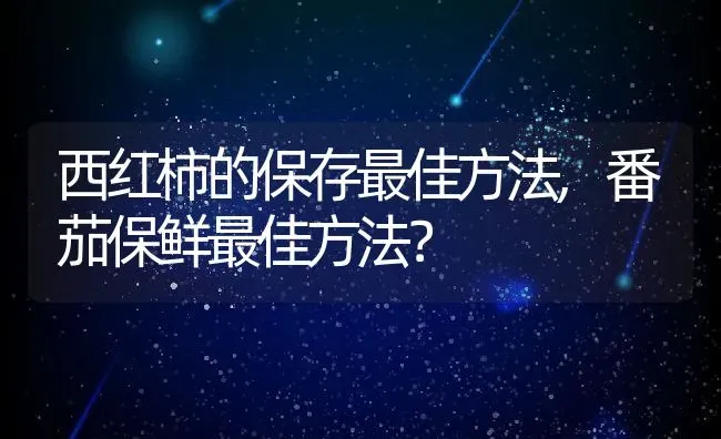 西红柿的保存最佳方法,番茄保鲜最佳方法？ | 养殖科普