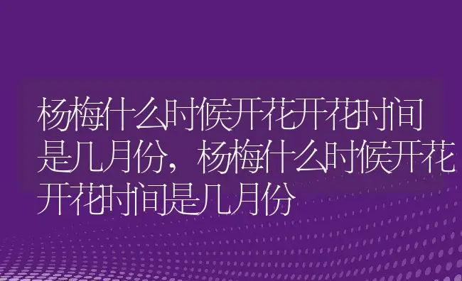 杨梅什么时候开花开花时间是几月份,杨梅什么时候开花开花时间是几月份 | 养殖科普