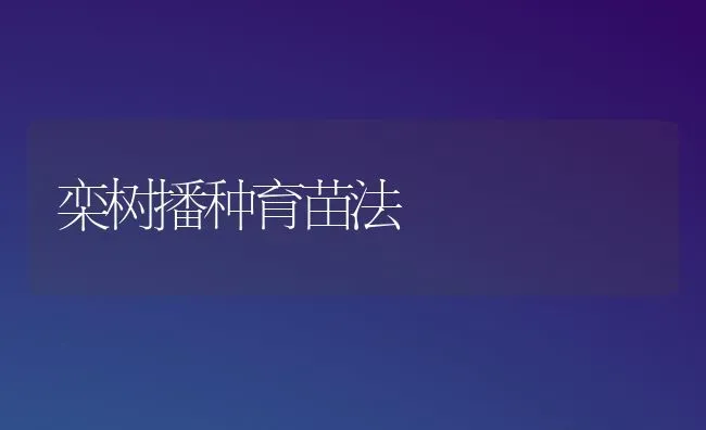 栾树播种育苗法 | 养殖知识