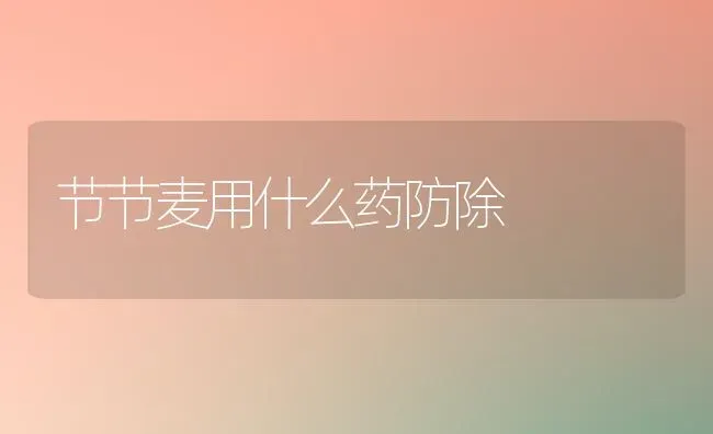 节节麦用什么药防除 | 养殖技术大全