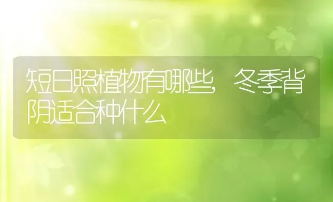 短日照植物有哪些,冬季背阴适合种什么 | 养殖学堂