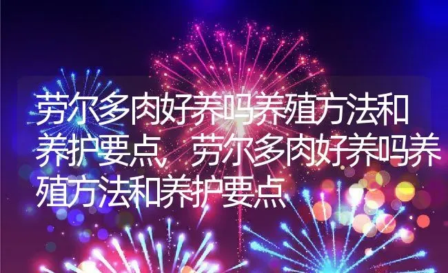 劳尔多肉好养吗养殖方法和养护要点,劳尔多肉好养吗养殖方法和养护要点 | 养殖科普