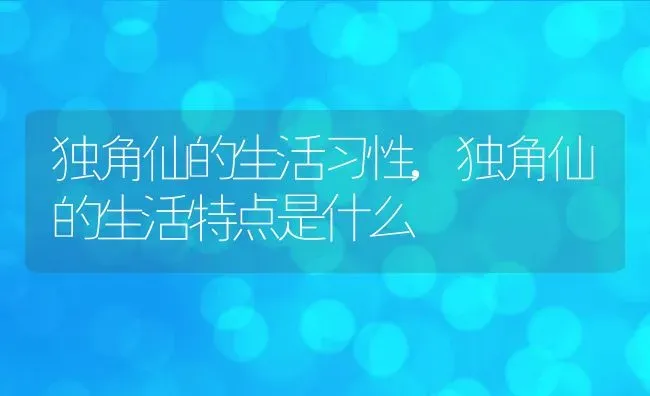 独角仙的生活习性,独角仙的生活特点是什么 | 养殖科普