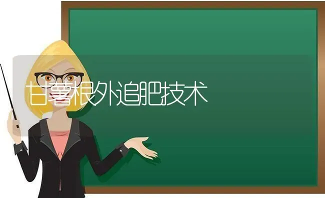 甘薯根外追肥技术 | 养殖技术大全
