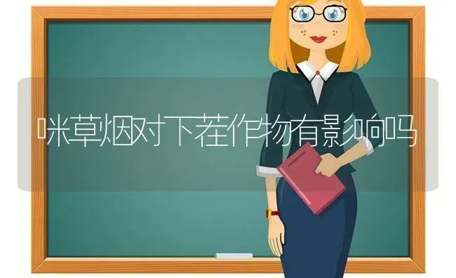 咪草烟对下茬作物有影响吗 | 养殖技术大全