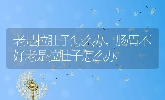 老是拉肚子怎么办,肠胃不好老是拉肚子怎么办 | 养殖科普