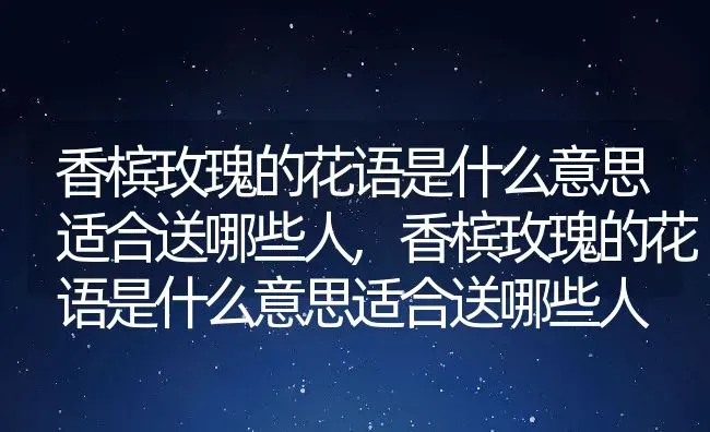 香槟玫瑰的花语是什么意思适合送哪些人,香槟玫瑰的花语是什么意思适合送哪些人 | 养殖科普