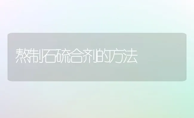 熬制石硫合剂的方法 | 养殖技术大全