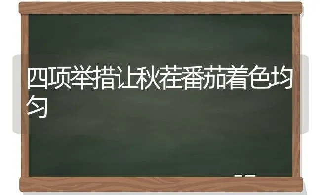 四项举措让秋茬番茄着色均匀 | 养殖技术大全