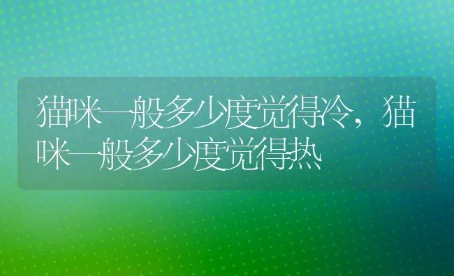 猫咪一般多少度觉得冷,猫咪一般多少度觉得热 | 养殖科普