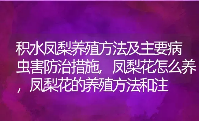 积水凤梨养殖方法及主要病虫害防治措施,凤梨花怎么养，凤梨花的养殖方法和注 | 养殖学堂