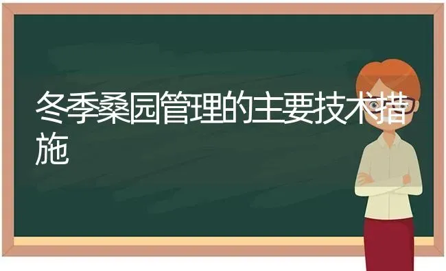 冬季桑园管理的主要技术措施 | 养殖技术大全