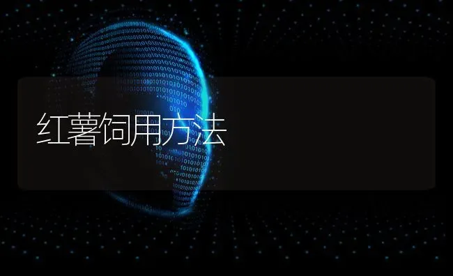 红薯饲用方法 | 养殖技术大全