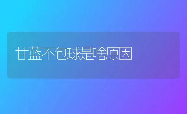 甘蓝不包球是啥原因 | 养殖技术大全