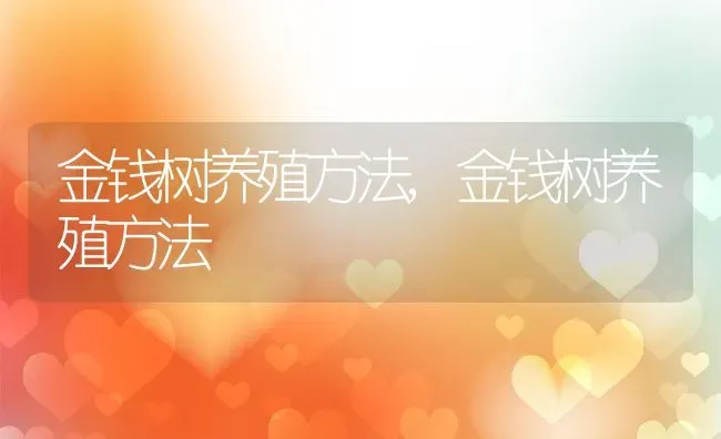 金钱树养殖方法,金钱树养殖方法 | 养殖科普