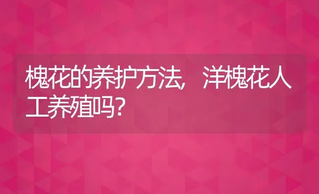 槐花的养护方法,洋槐花人工养殖吗？ | 养殖科普