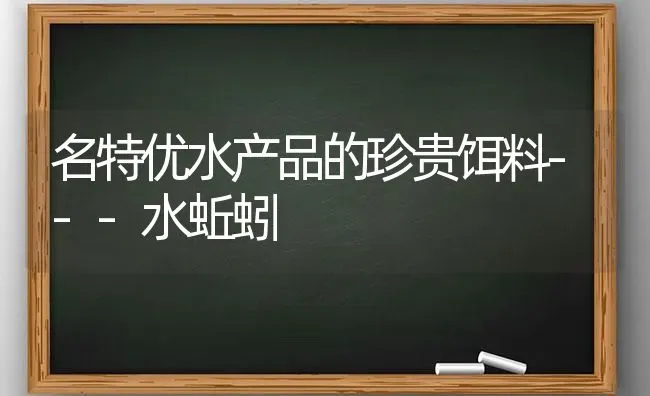 名特优水产品的珍贵饵料---水蚯蚓 | 养殖技术大全