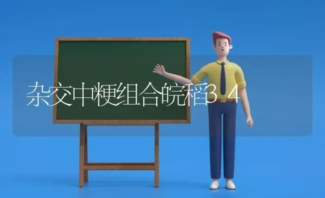 杂交中粳组合皖稻34 | 养殖技术大全