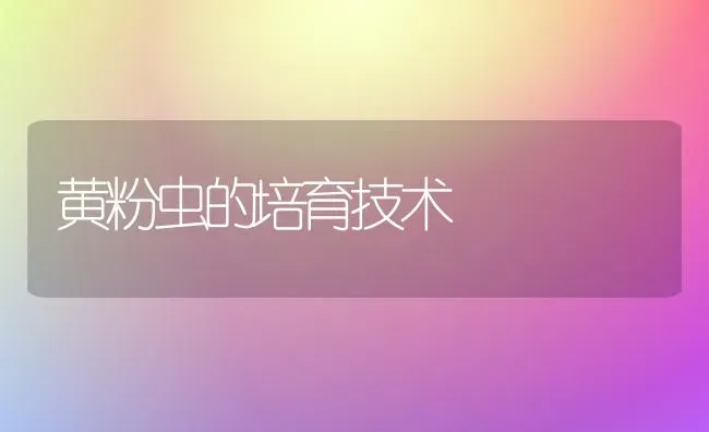 黄粉虫的培育技术 | 养殖技术大全