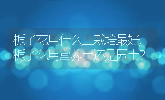 栀子花用什么土栽培最好,栀子花用营养土还是园土？ | 养殖学堂