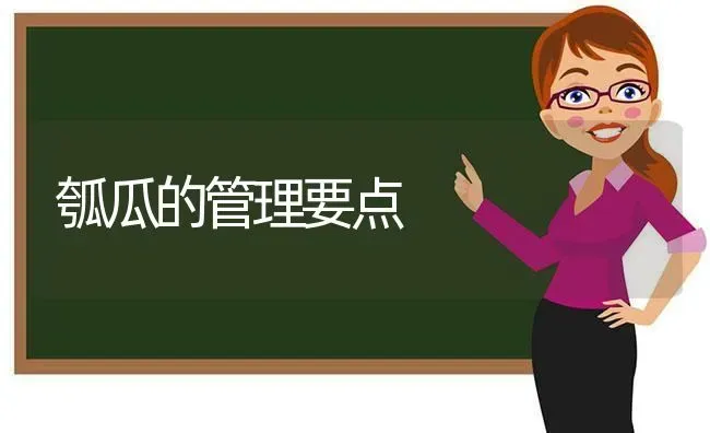 瓠瓜的管理要点 | 养殖技术大全